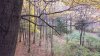 20191024_155541.jpg