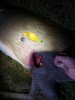20191024_195734.jpeg