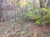 IMG_20191025_161655335.jpg