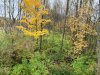 IMG_4884.JPG