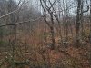 20191025_164934.jpg