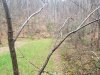 20191025_164925.jpg