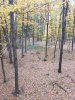 20191025_171140.jpeg