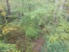 20191026_154101.jpg