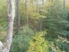 20191026_154108.jpg