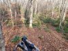 20191026_155356.jpg
