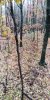 20191027_091637.jpg