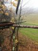 Image1572208400.145825.jpg