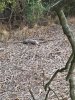Image1572214011.698629.jpg