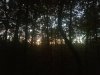 20191028_070657.jpg