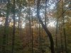 20191028_075332.jpg
