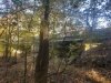 20191028_103810.jpg
