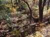 Image1572289768.993487.jpg
