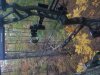 20191030_073539.jpg