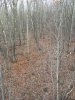 Image1572440625.755806.jpg