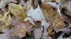 20191030_092135.jpg