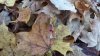 20191030_092120.jpg