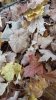 20191030_092103.jpg