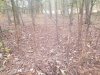 20191030_115829.jpg