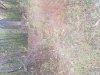 20191030_130942.jpg