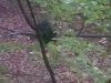 20191030_181748.jpg