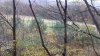 20191031_074450.jpg