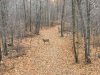 IMG_2165.JPG