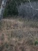 20191031_181054.jpeg