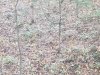 20191101_074720.jpg