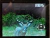 5C183134-695F-4702-BD43-B3A876836615.jpeg