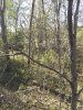 20191101_151745.jpg