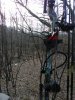 IMG_20191101_152450.jpeg