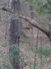 IMG_20191101_160935.jpeg