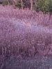 20191102_072904.jpeg