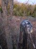20191102_072841.jpeg