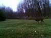 IMAG0003_resized.JPG