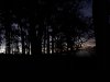 IMG_0779.JPG