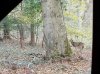 20191103_071929.jpg