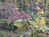 81075201-2C6A-4C38-8CC8-55AC967E4DC8.jpeg