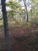 20191103_161046.jpg