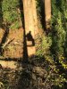 IMG_0459.JPG