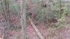 8pt with doe.jpg