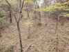 20191104_150533.jpg
