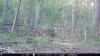 IMG_02381.jpeg