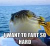 hard fart.jpg