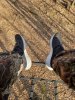 20191106_142143.jpeg