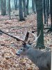 20191107_074442.jpeg