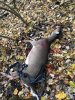 Image1573137874.181886.jpg