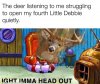 FB_IMG_1573153805006.jpg