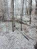 IMG_20191107_150649024.jpg